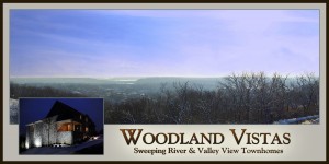 New Construction Luxury Townhomes for sale New Construction Luxury Townhomes