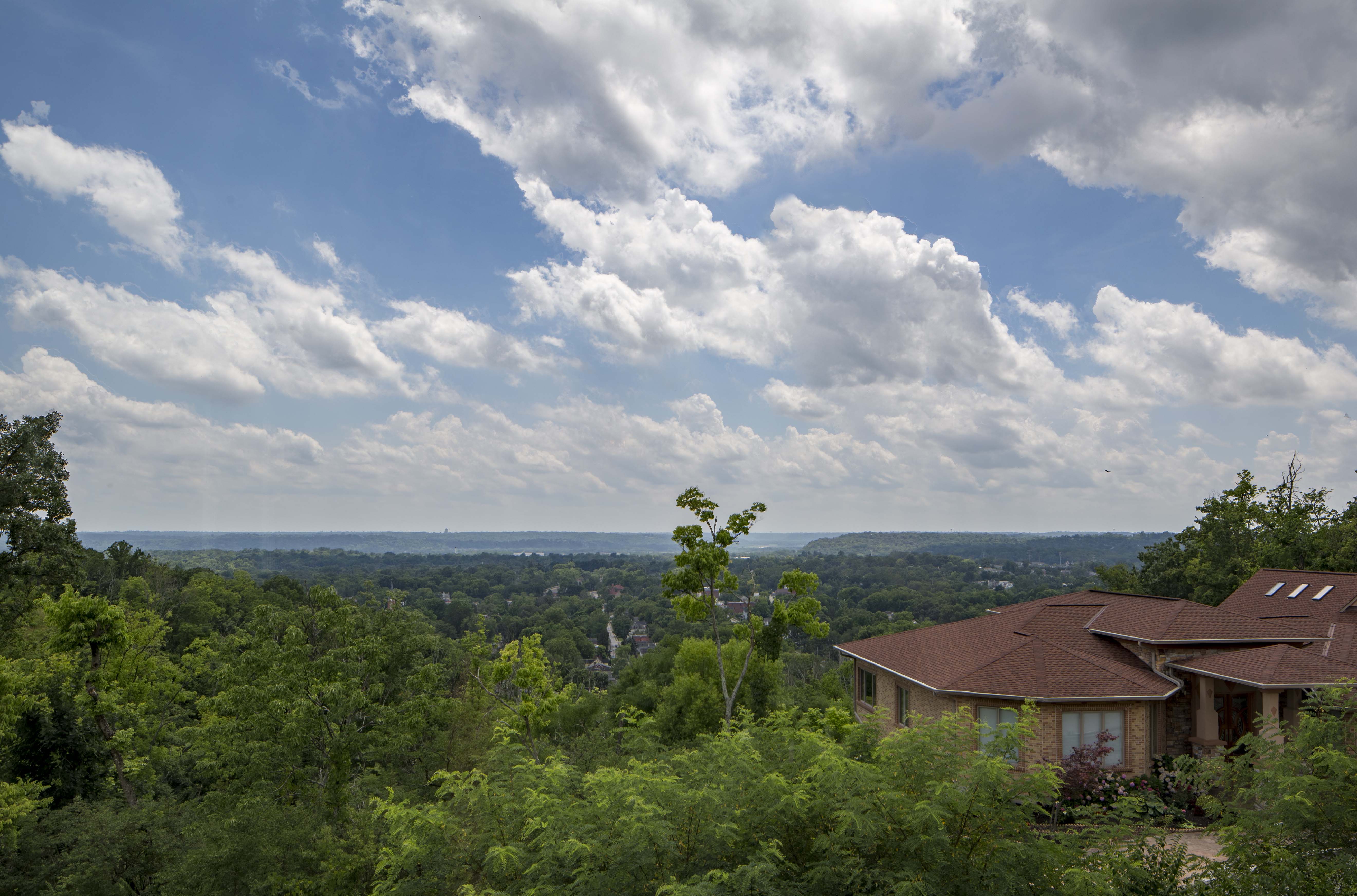 Woodland Vistas View